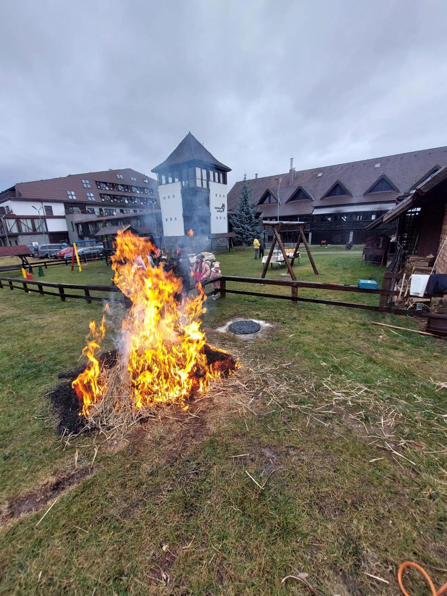 Hotel New Wolf Bran  Zewnętrze zdjęcie