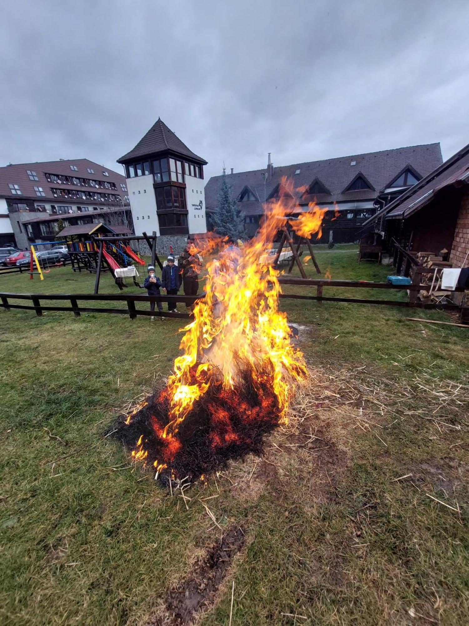 Hotel New Wolf Bran  Zewnętrze zdjęcie